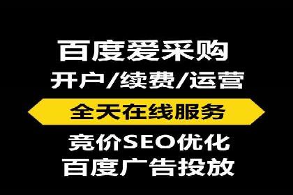 百度竞价赚钱的技巧与成功案例探讨